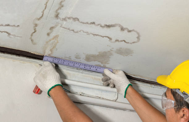 Reliable Structural Drying contractor in Milford, MI by Water Damage Irwin